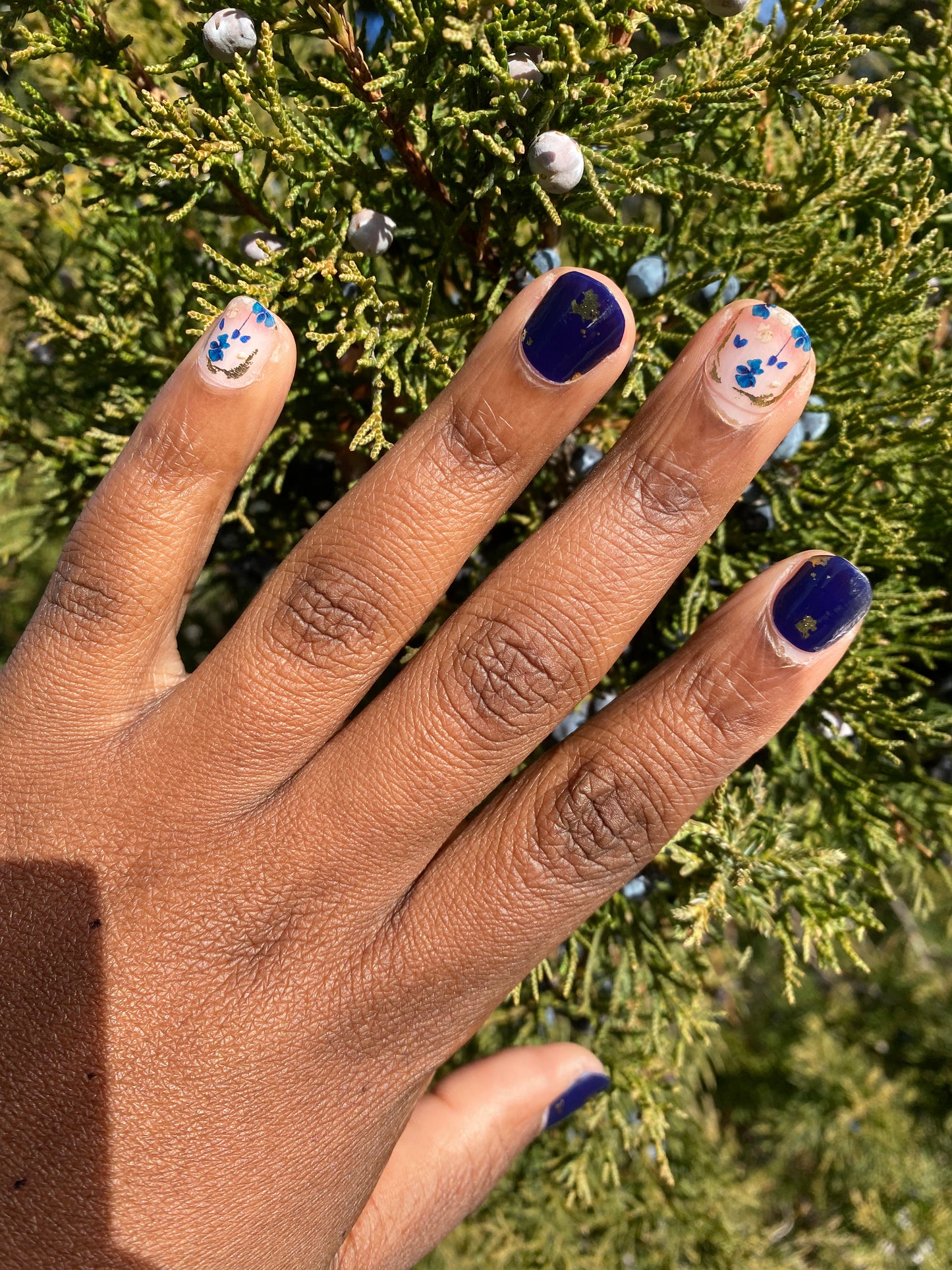 Gilded Blue